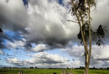 新疆势头如虹，甘肃冒尖誓言力战