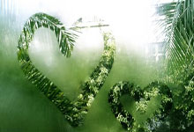 队记：杨瀚森或能解决开拓者半场进攻问题 比卢普斯不怕用年轻人