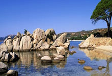 队记：杨瀚森或能解决开拓者半场进攻问题 比卢普斯不怕用年轻人