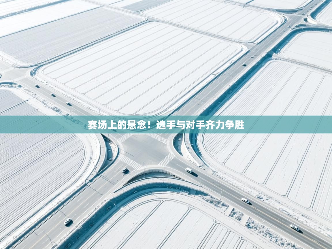 赛场上的悬念！选手与对手齐力争胜  第1张