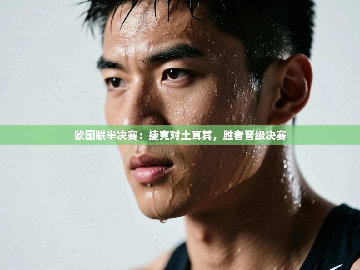 欧国联半决赛：捷克对土耳其，胜者晋级决赛