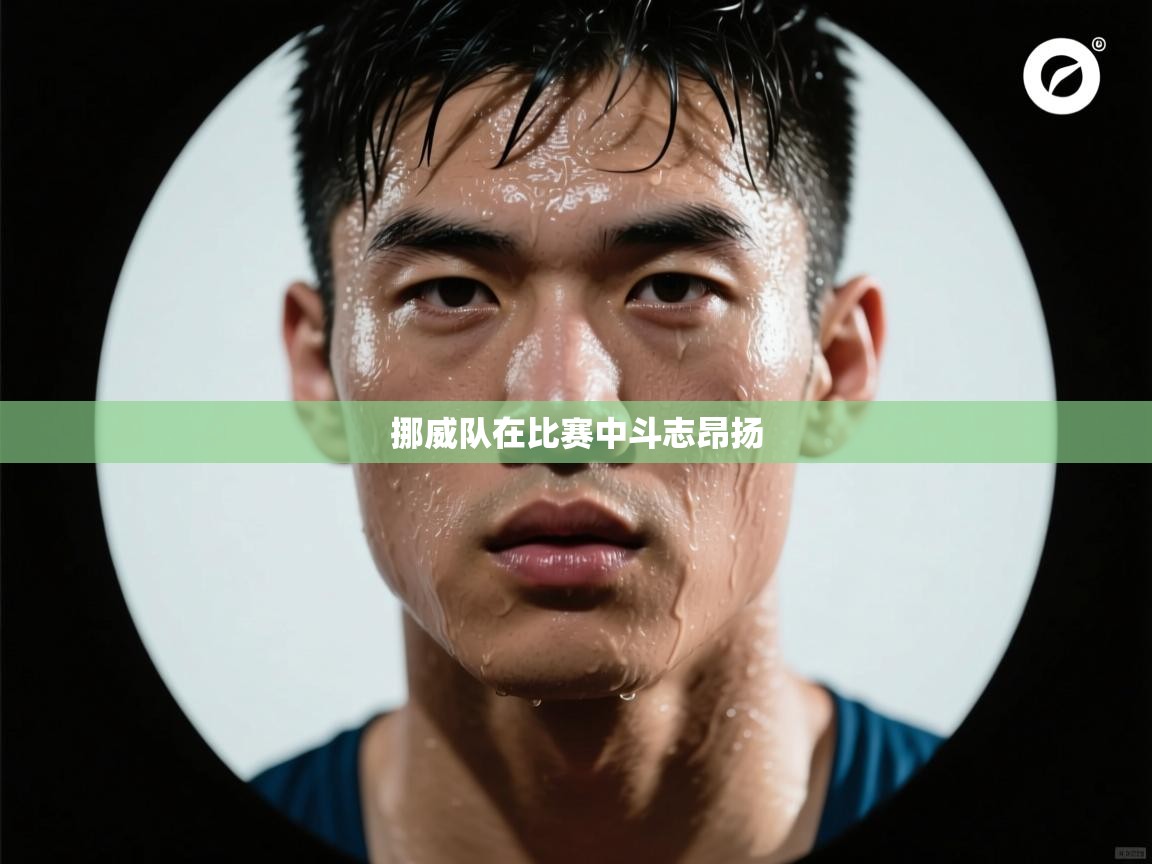 挪威队在比赛中斗志昂扬  第1张