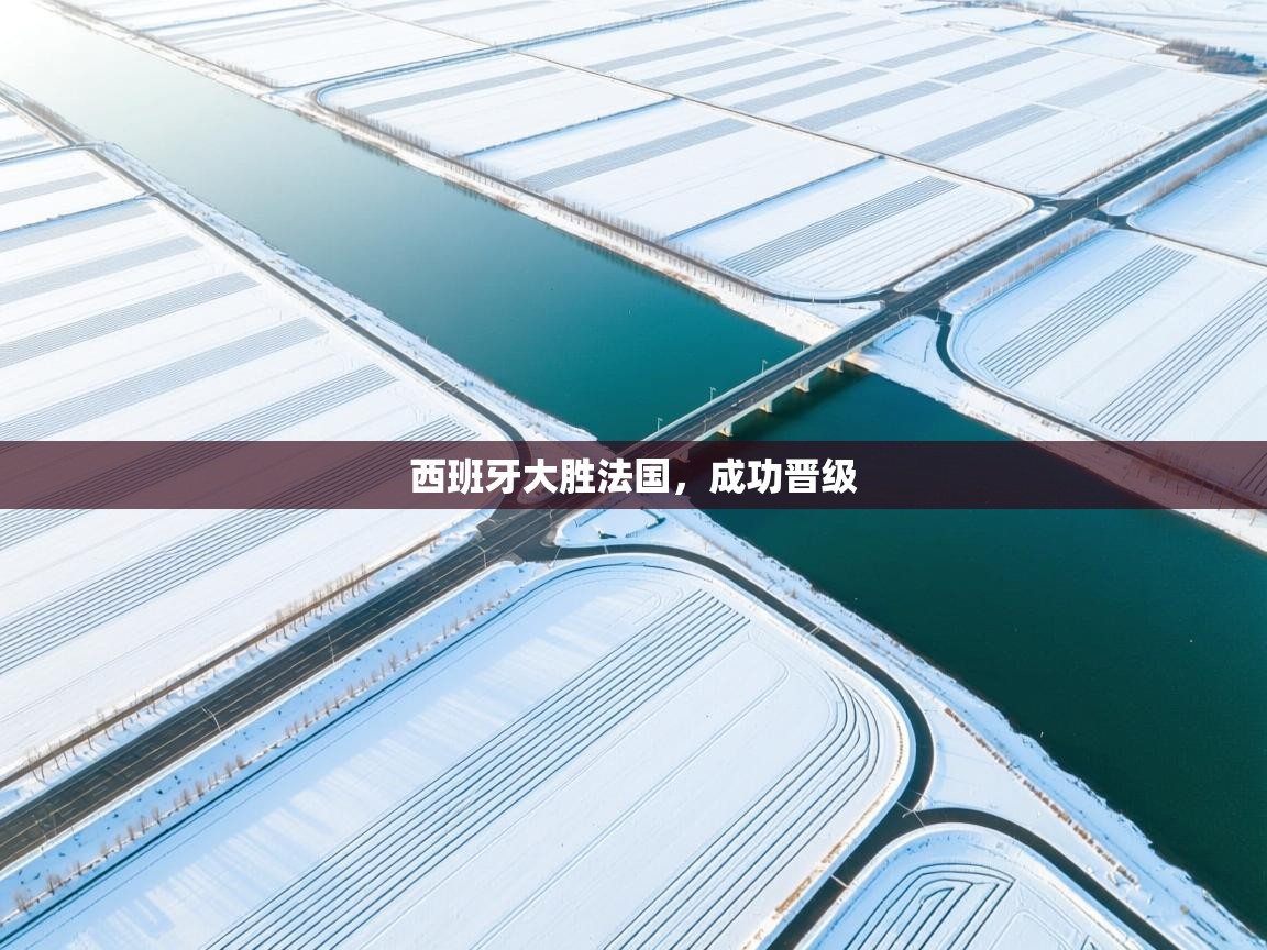 西班牙大胜法国，成功晋级  第2张