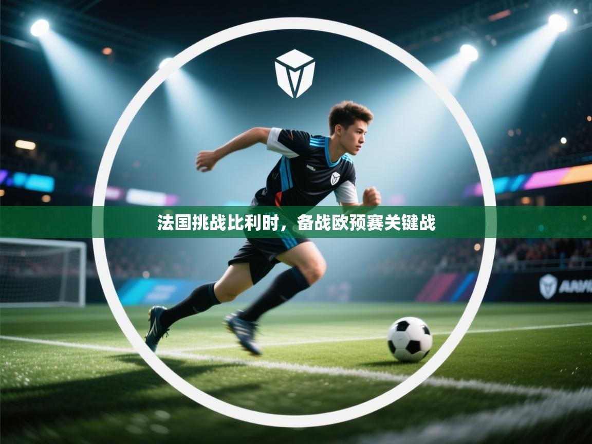 法国挑战比利时,备战欧预赛关键战 第2张