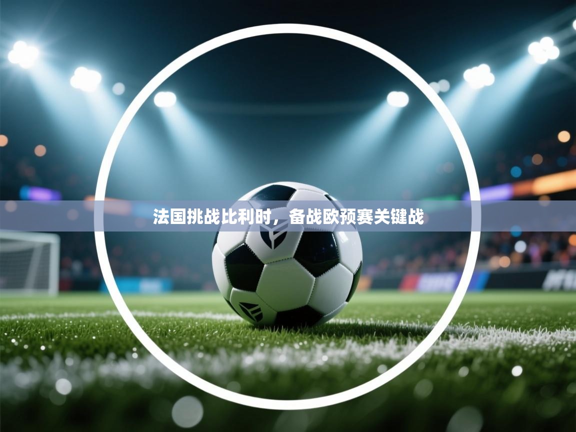 法国挑战比利时,备战欧预赛关键战 第1张